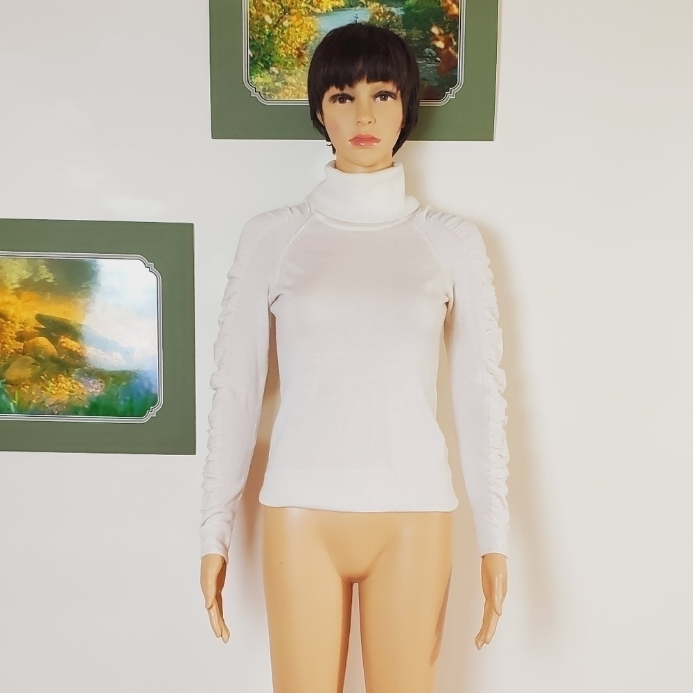 Milly 100% wool long sleeve Turtleneck Sweater